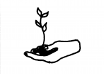 hand holding plant